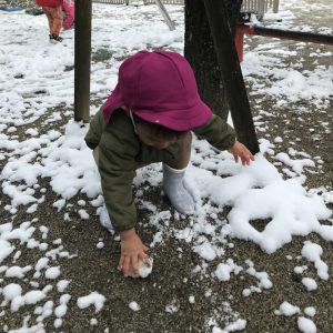 2024.01.24 　雪がたくさん♪　～すみれ組～