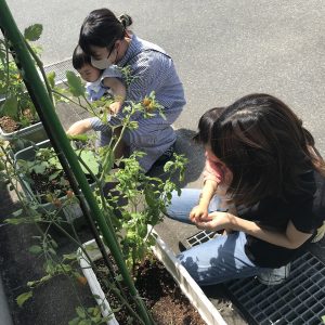 梅雨明けしましたね